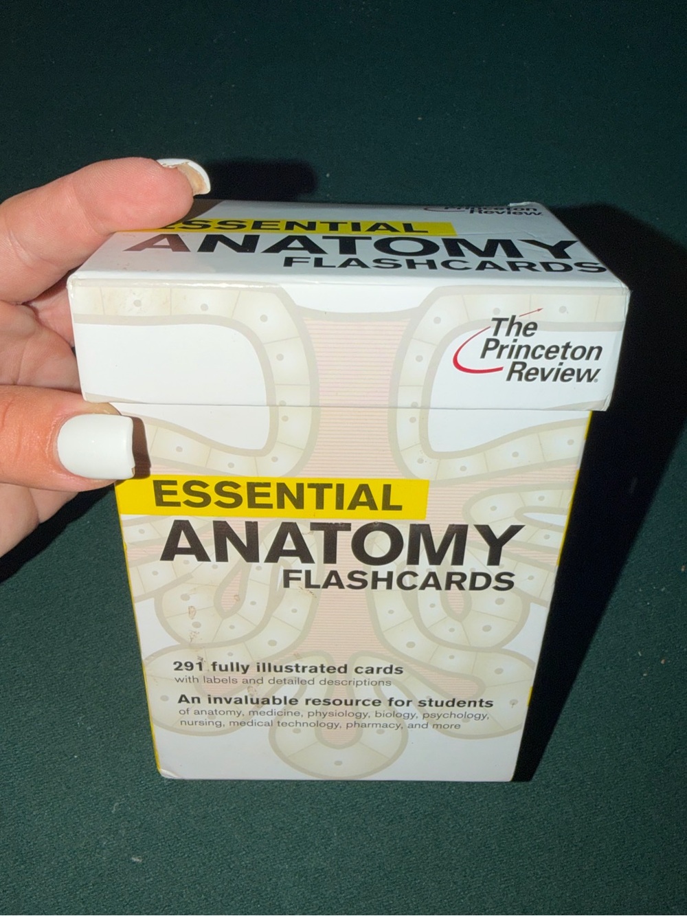 The Princeton Review Essential Anatomy Flashcards